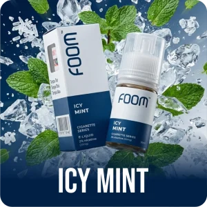 SALTNIC FOOM ICY MINT 30ML