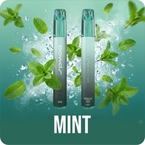 HW PODS 1200 - MINT