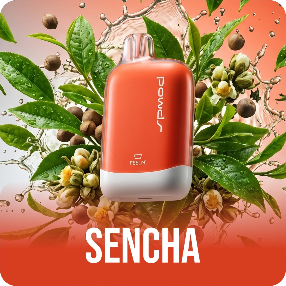 HW PODS 4500 - SENCHA